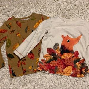 Set of 2 Fall-themed shirts boys size 18-24m